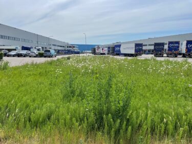 Moerdijk Prologis Park DC1